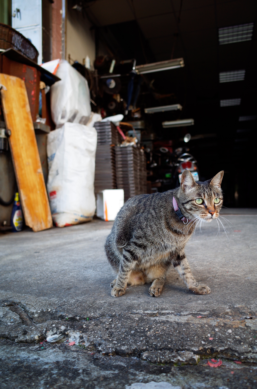 Ricoh GR II 光影層次展現