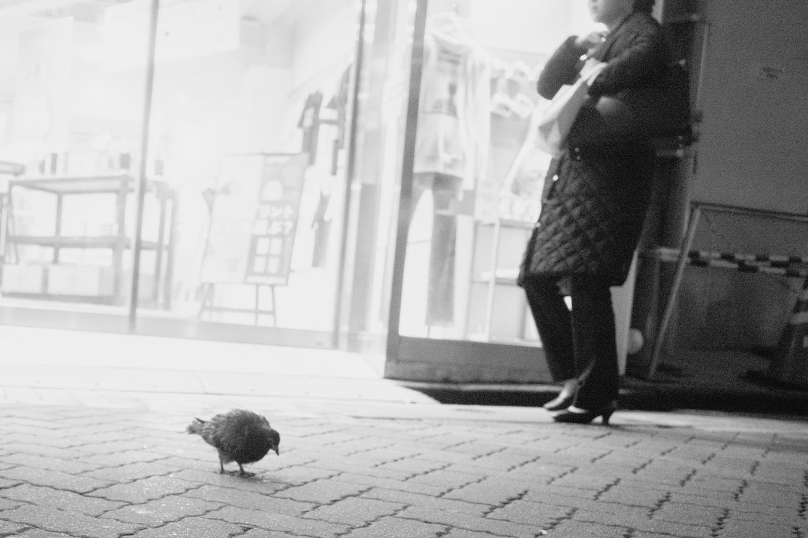 HDF 黑白攝影下的高光擴散氛圍