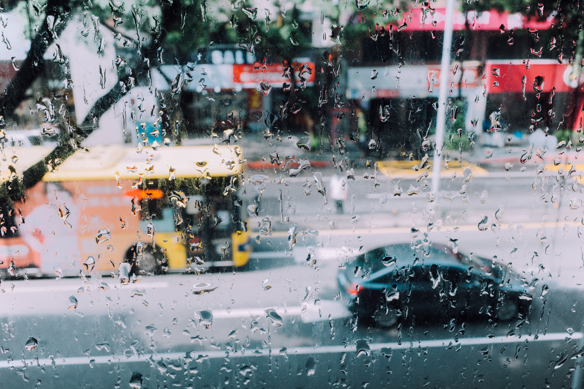 GR III 隨身機日常隨拍記錄