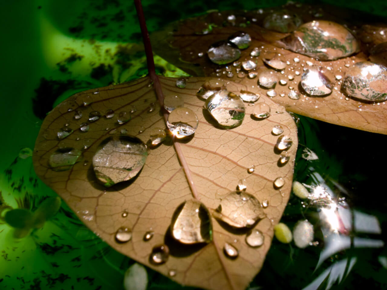 攝影師 mookio 的 GRD 攝影作品：街頭紀實與日常風景