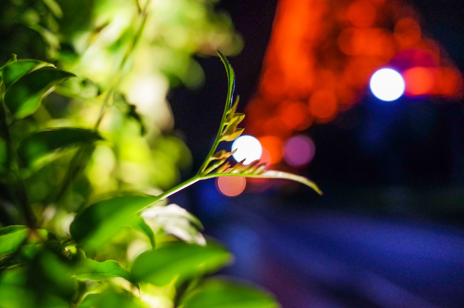 RICOH GR 攝影作品：充滿故事的街拍 3