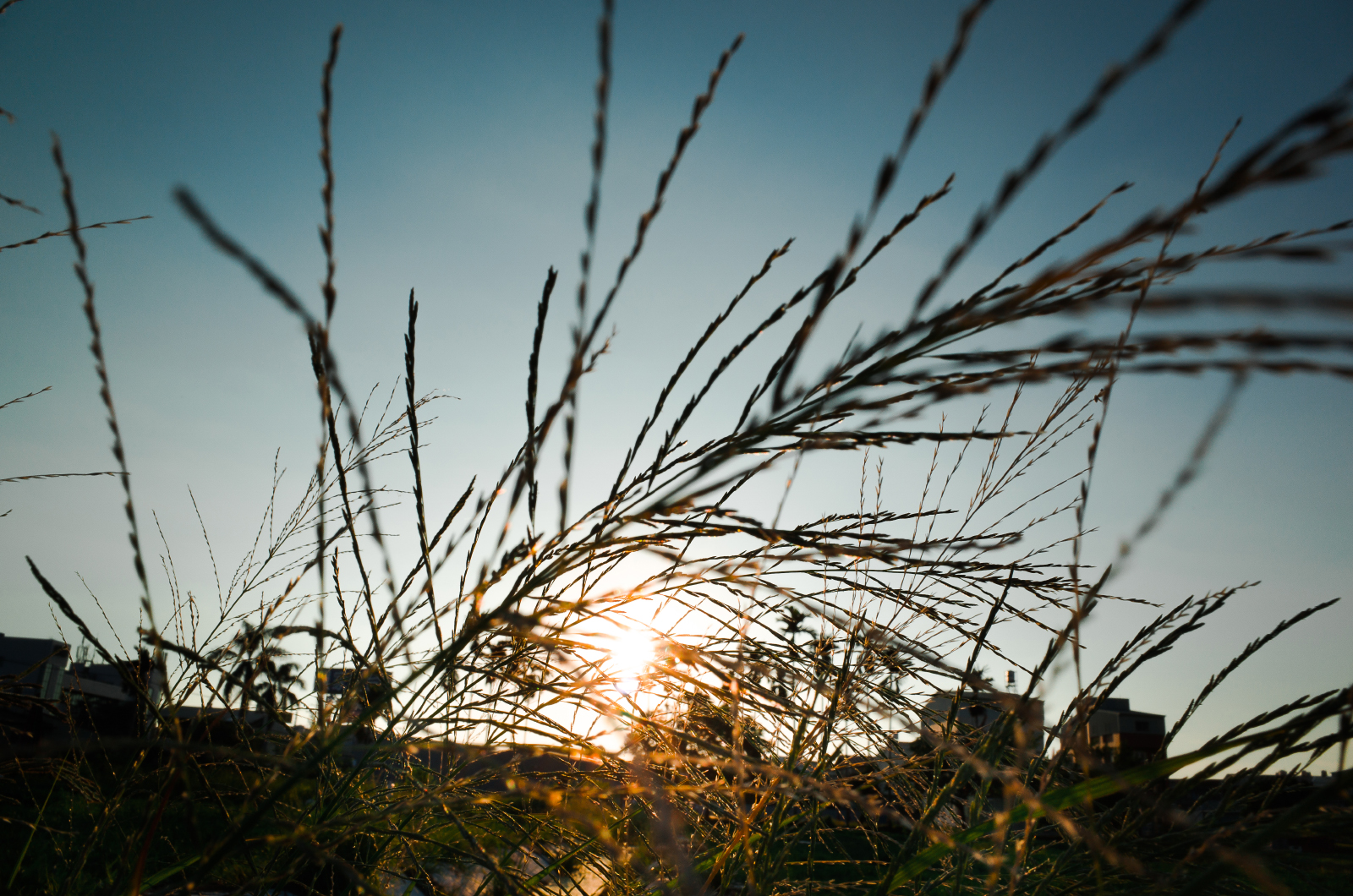 Ricoh GR II 街頭細節呈現