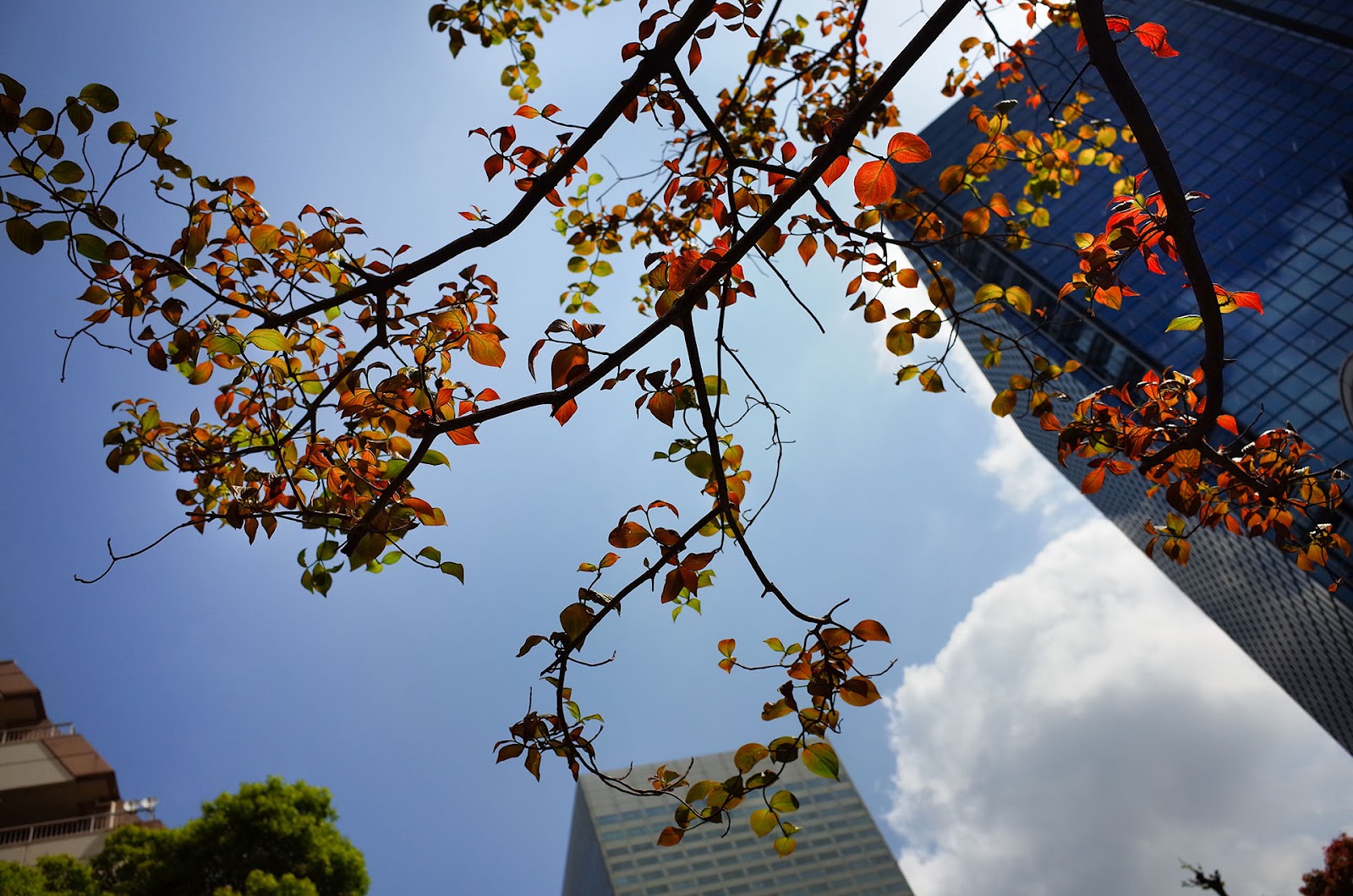 RICOH GR 攝影作品：獨特的觀察視角