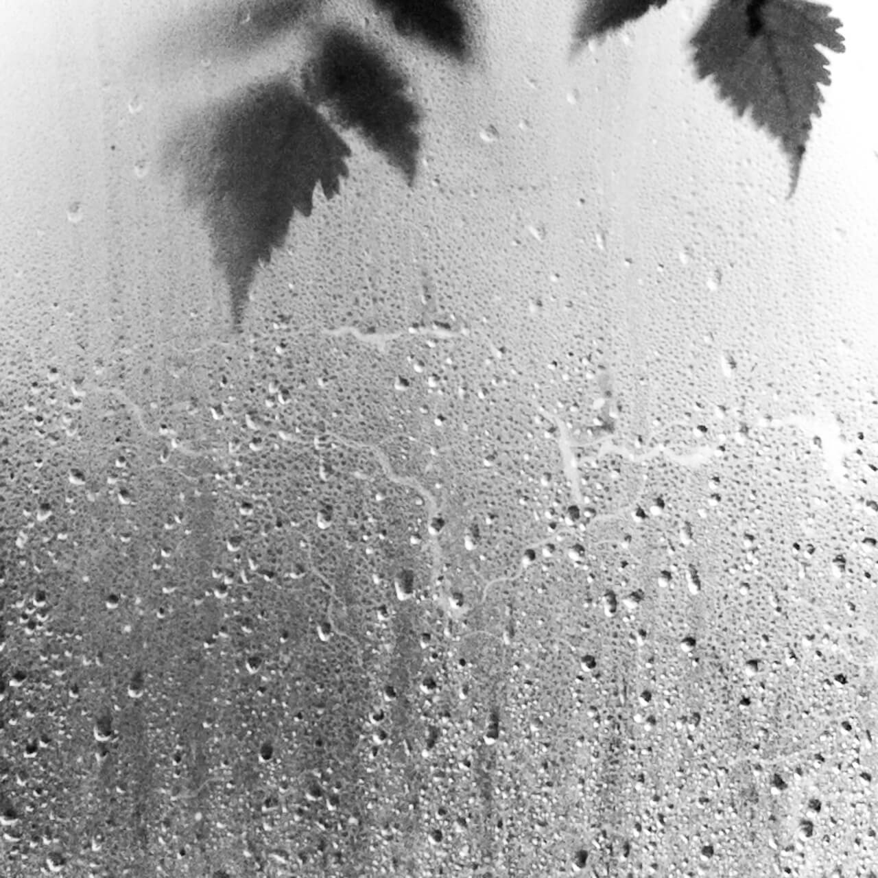 攝影師 mookio 的 GRD 攝影作品：寧靜的生活角落