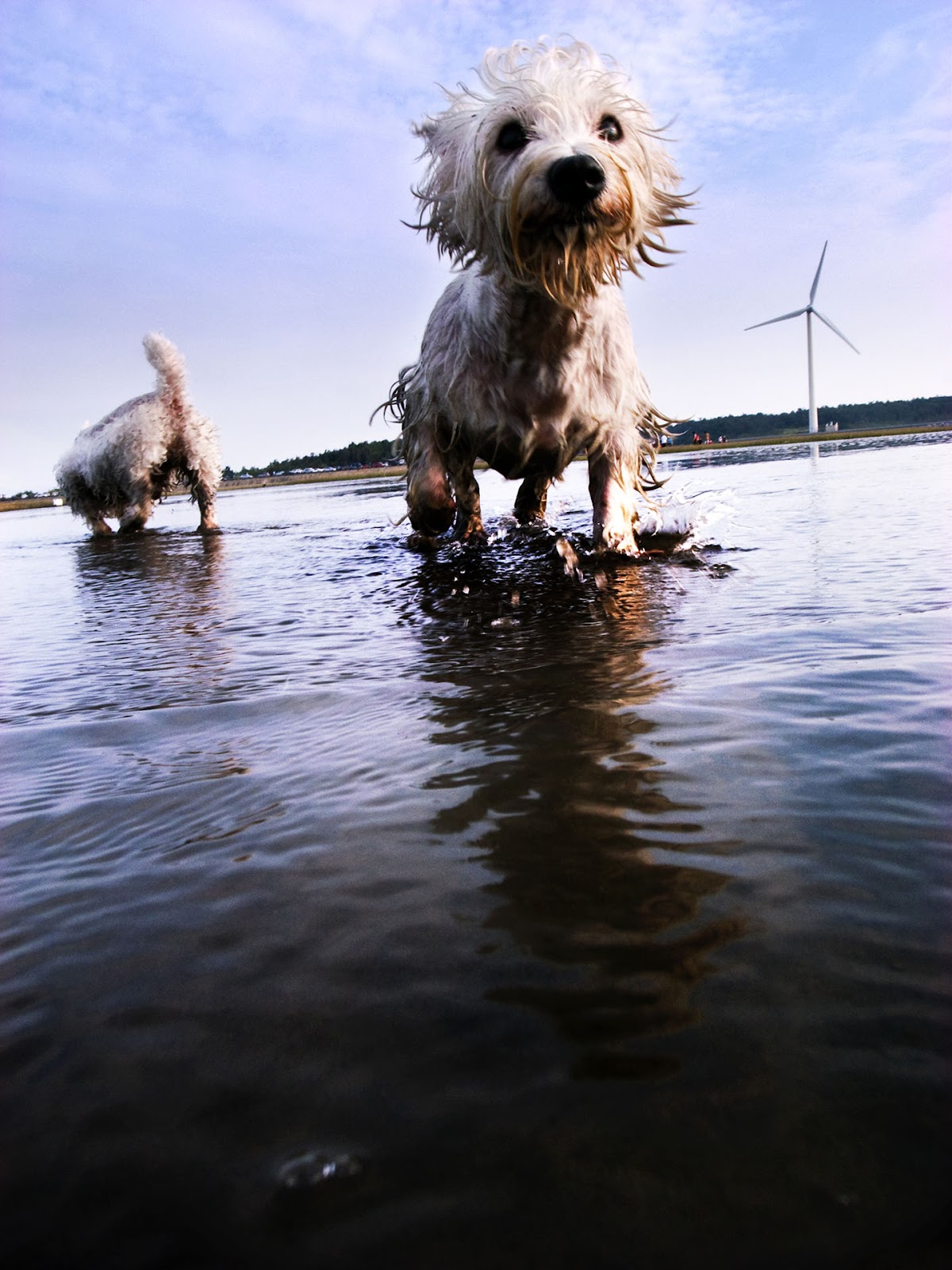 GRD 攝影作品：跟著光影走 3