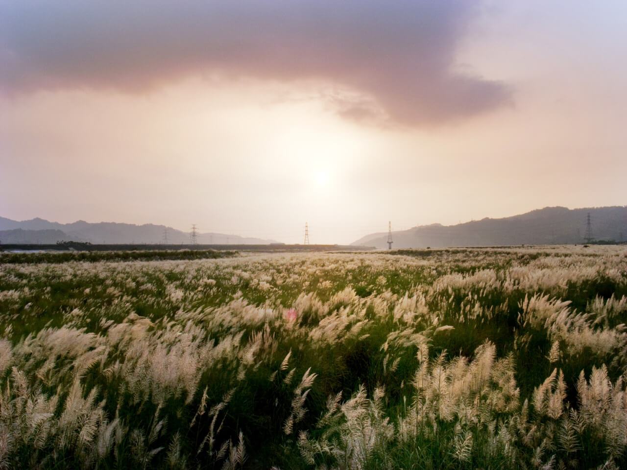 攝影師 mookio 的 GRD 攝影作品：瞬間的動態捕捉