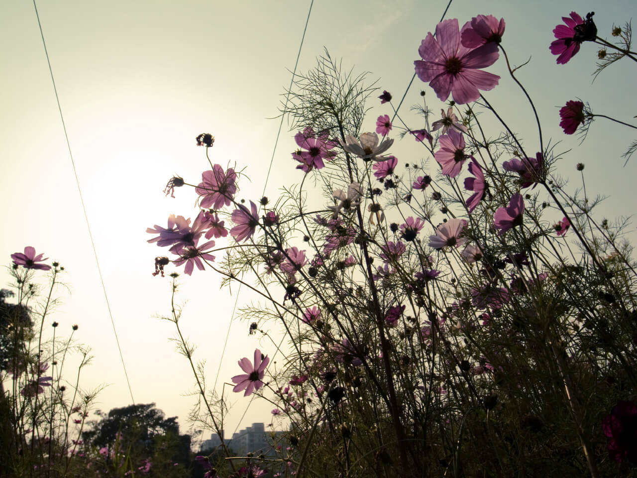 攝影師 mookio 的 GRD 攝影作品：充滿敘事感的街拍