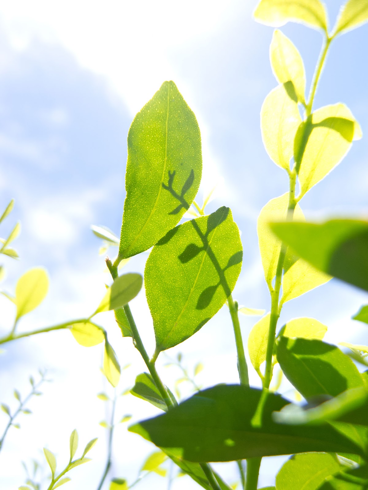 GRD 攝影作品：專注於攝影的純粹 1