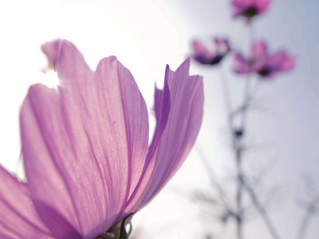 攝影師 mookio 的 GRD 攝影作品：光影與溫度的交錯