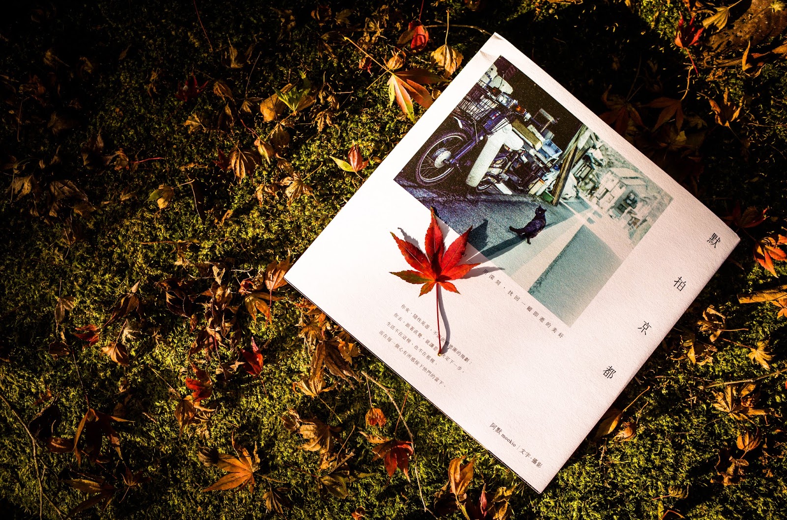 底片相機與《默拍京都》的旅行日常