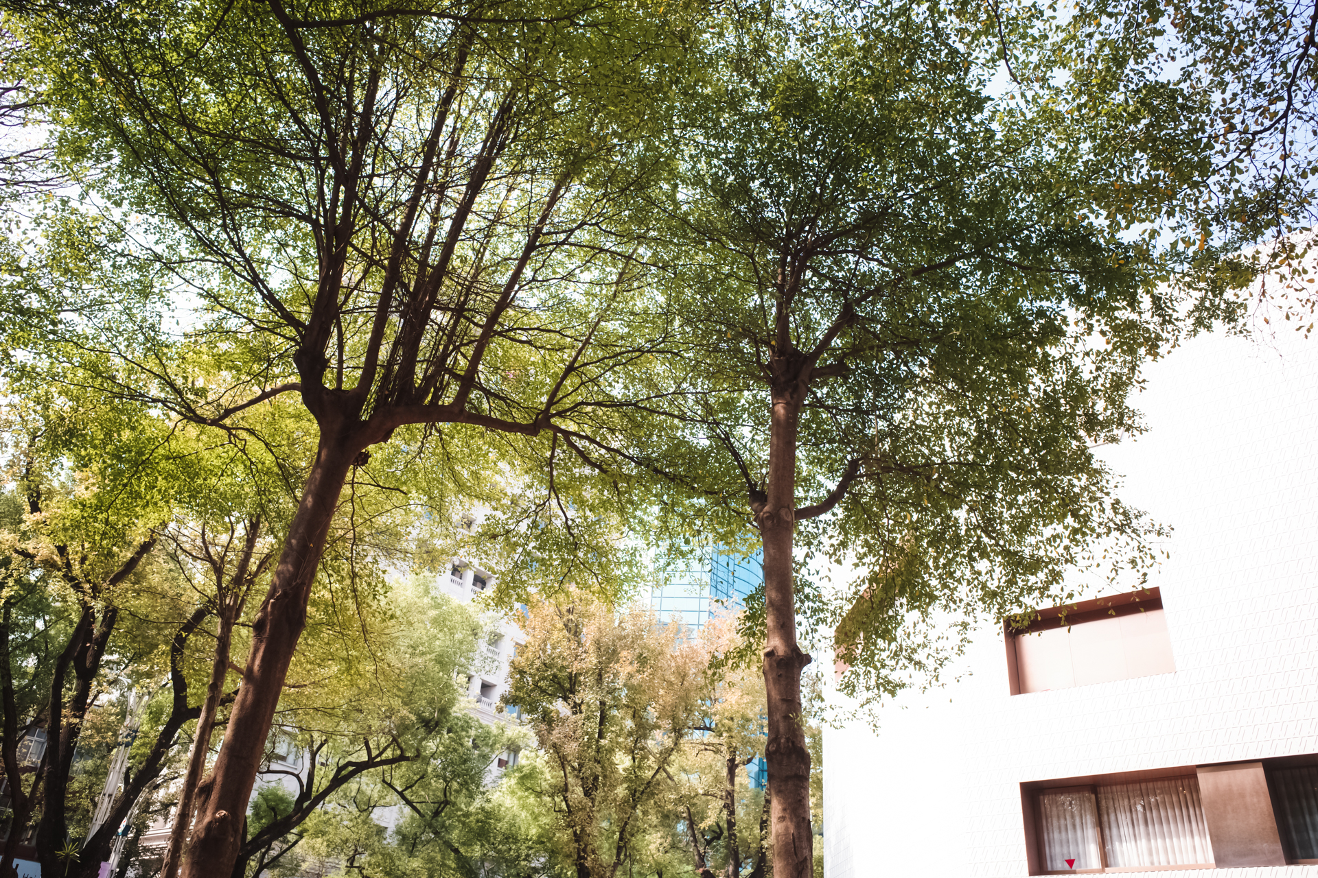 GR III 街拍實測：雨天濕潤的路面質感