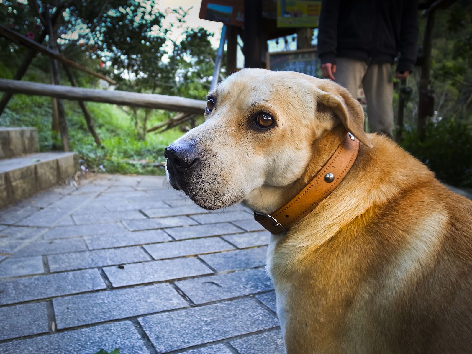 GRD 攝影作品：純粹的光影幾何