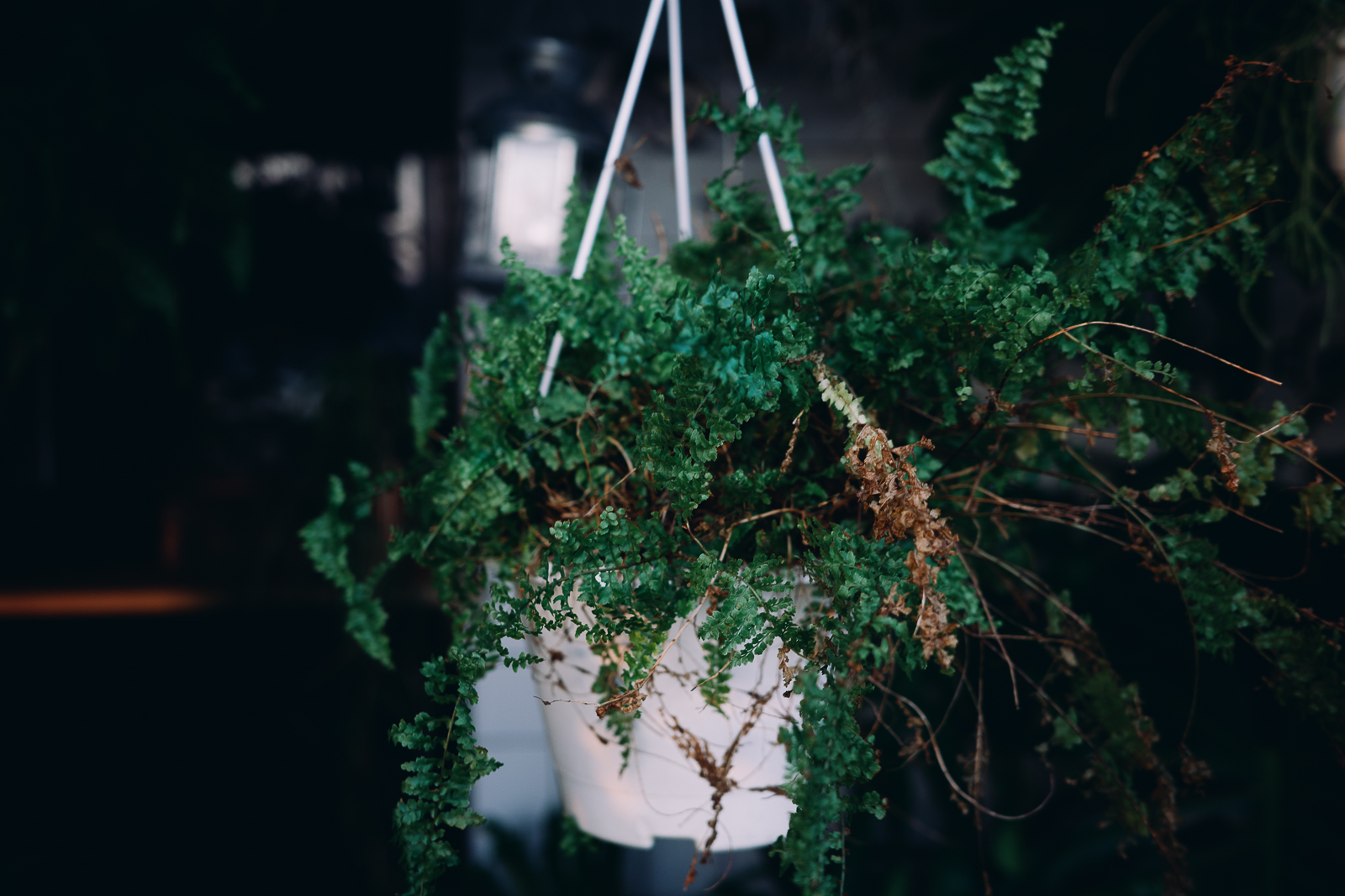 GR 色彩微調實拍：街頭的紅磚與建築層次