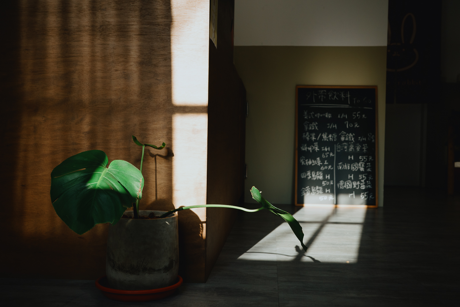 GR 色彩微調實拍：高質感的純粹底片氛圍