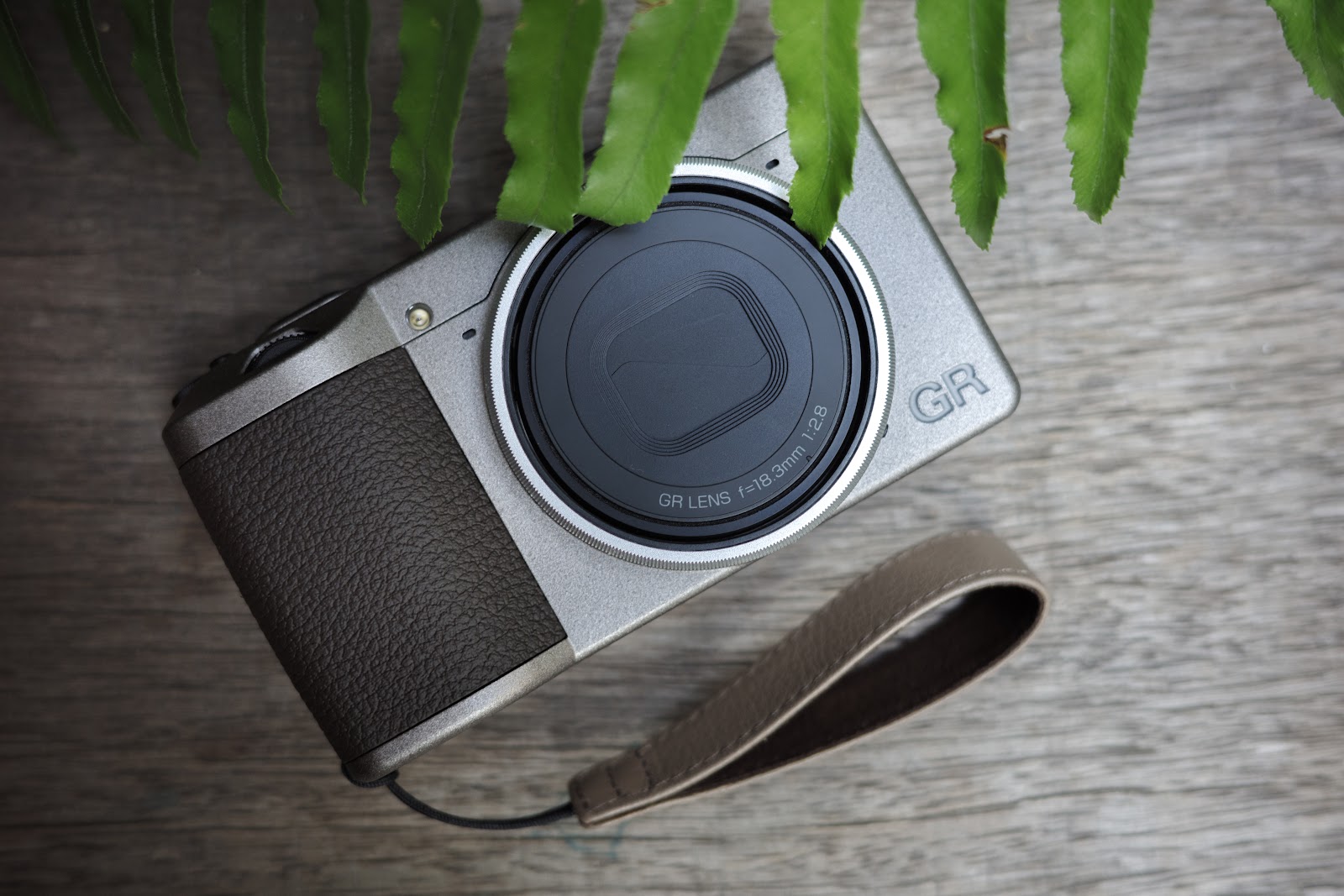 Negative 負片色彩實拍：日常光影捕捉 2