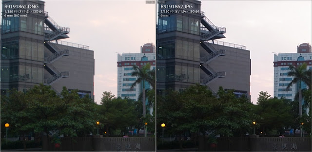 RAW 與 JPEG 畫質細節比較