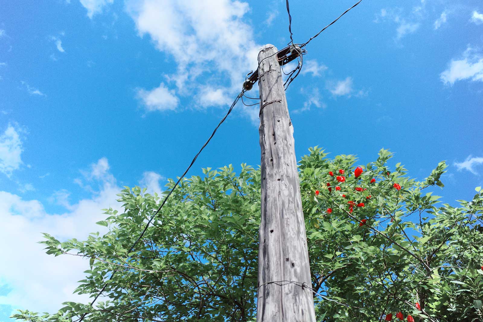 使用 CLASSIC BLUE 經典藍色調配方拍攝的街拍畫面