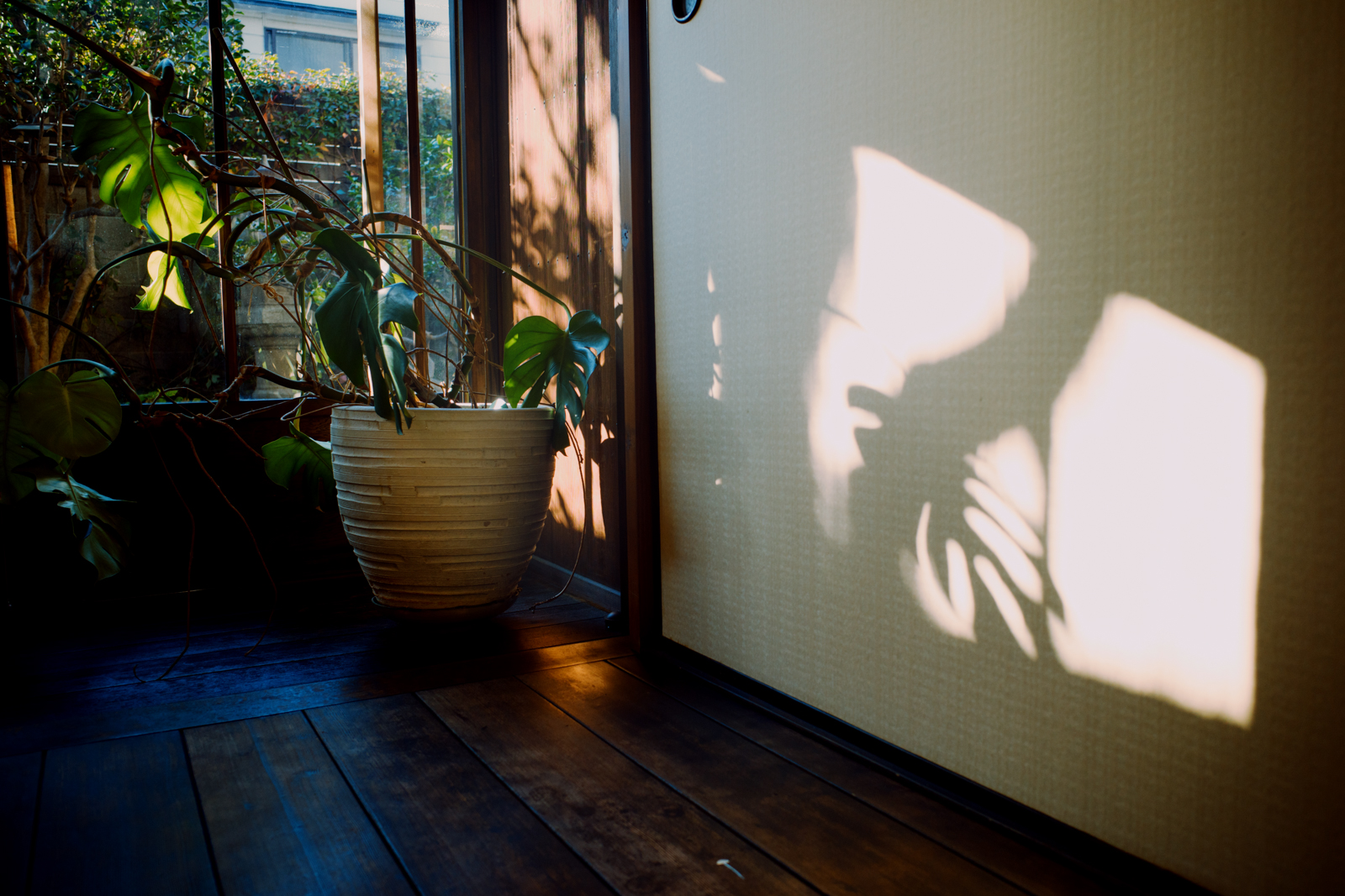 解開負重的路上 1