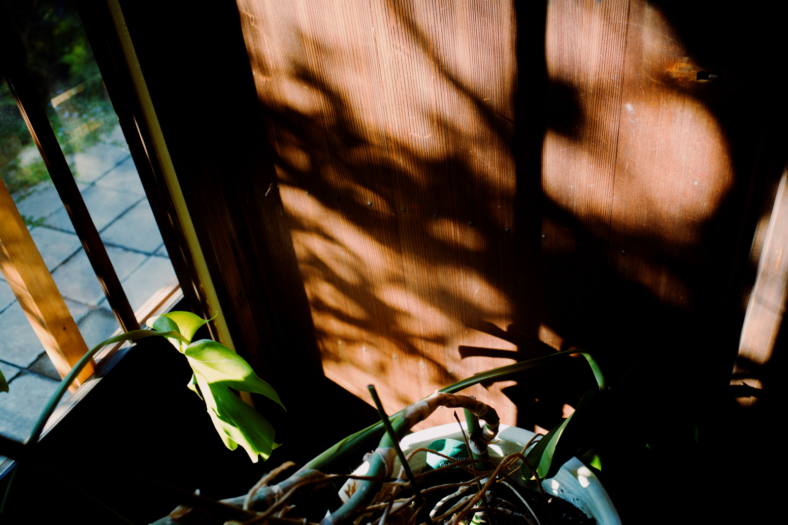 不安分的靈魂 3