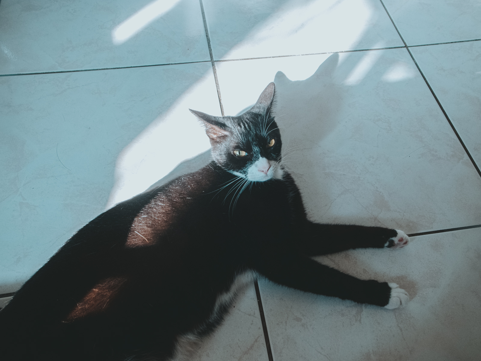 GR 原味十足的冷調質感