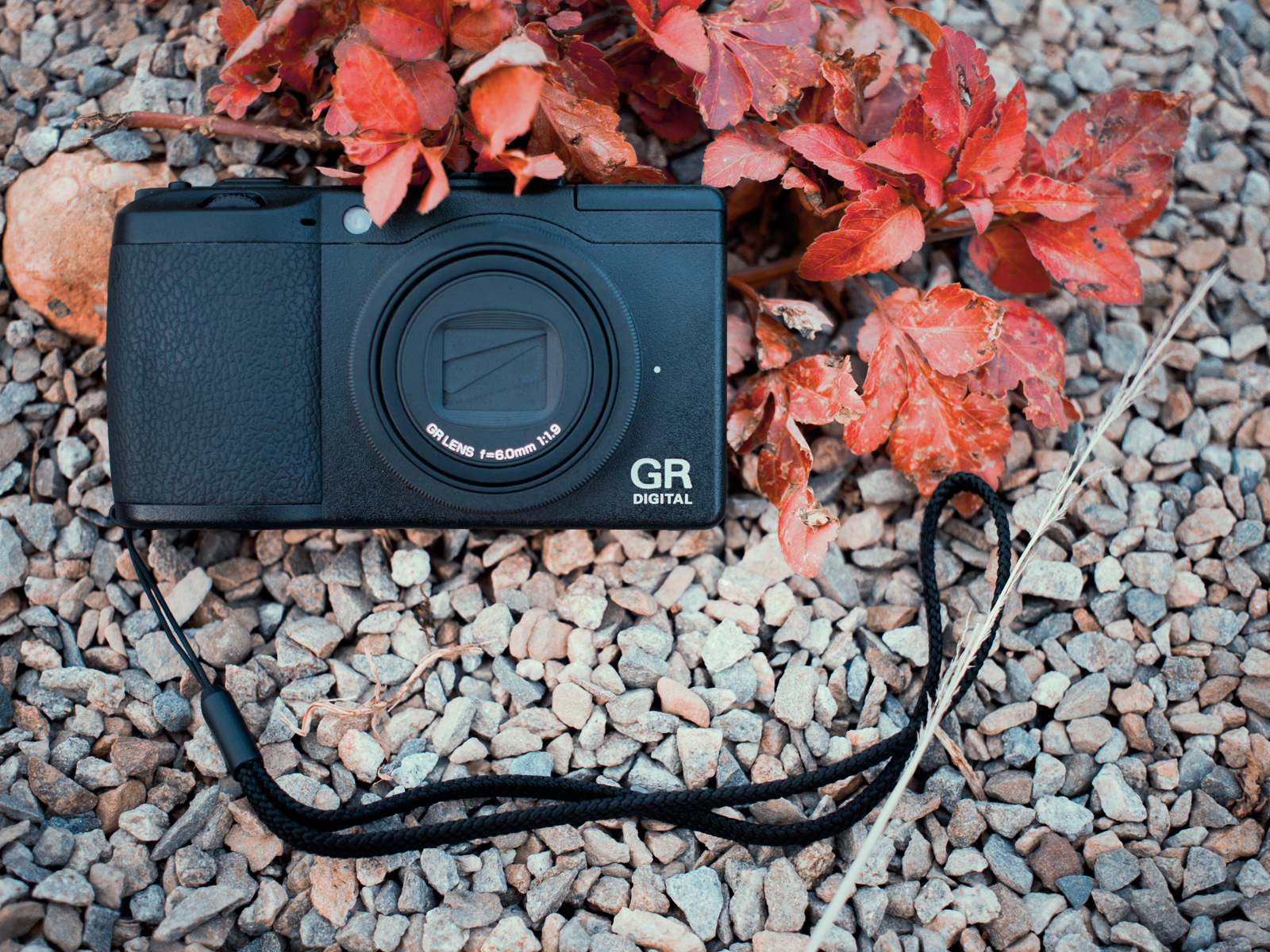 不被取代的攝影樂趣 1