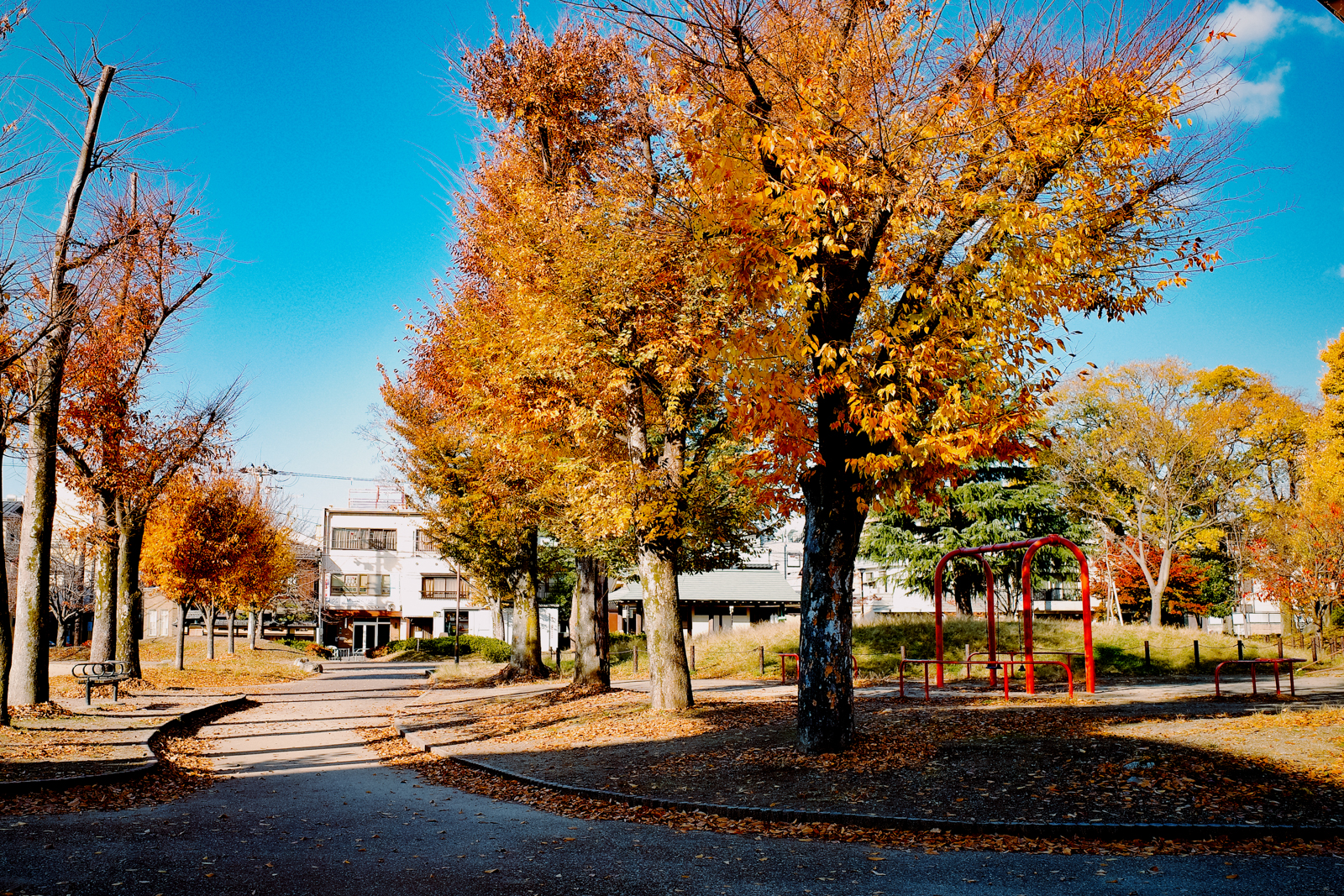 解開負重的路上 3