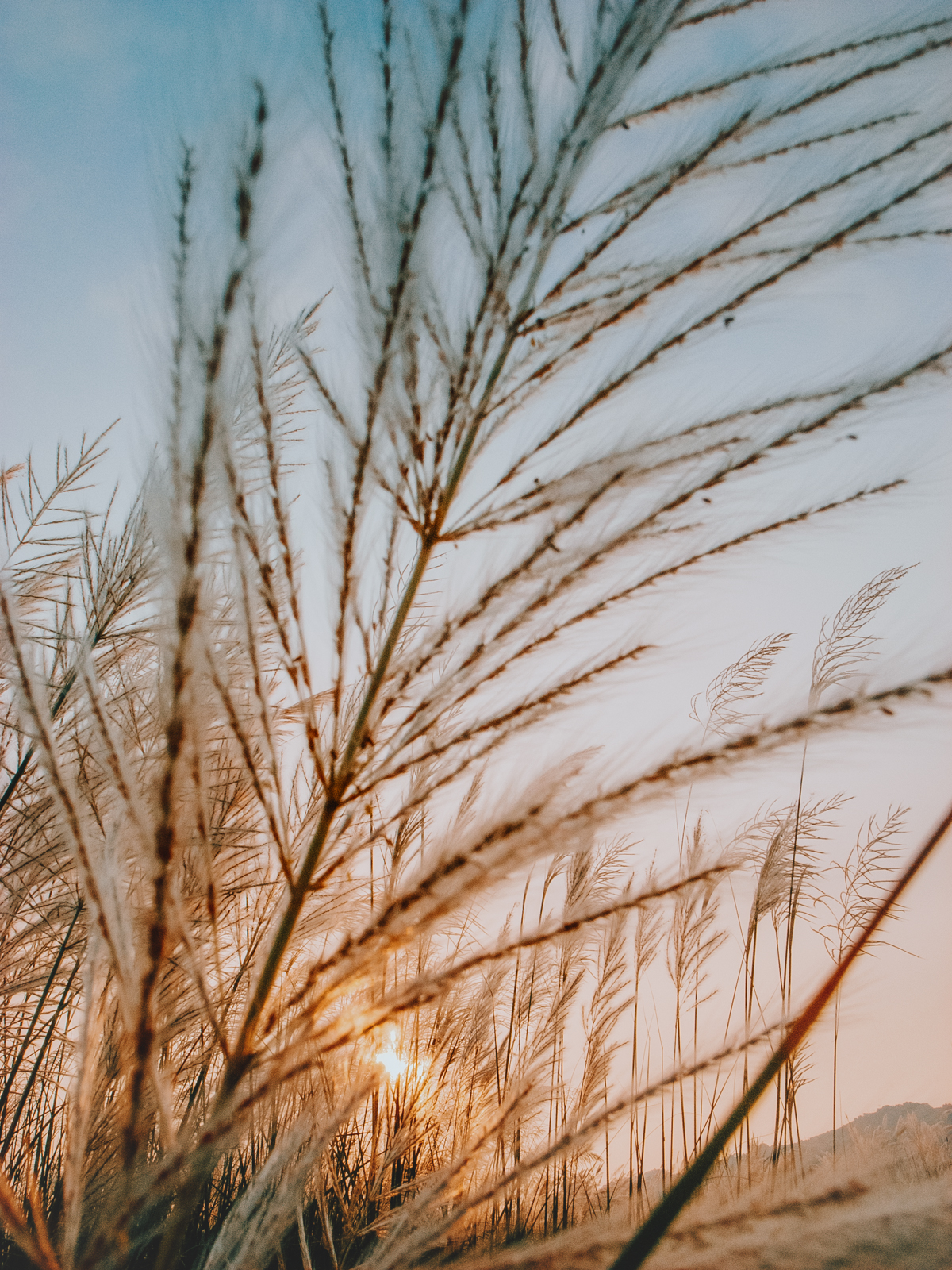 不被取代的攝影樂趣 3