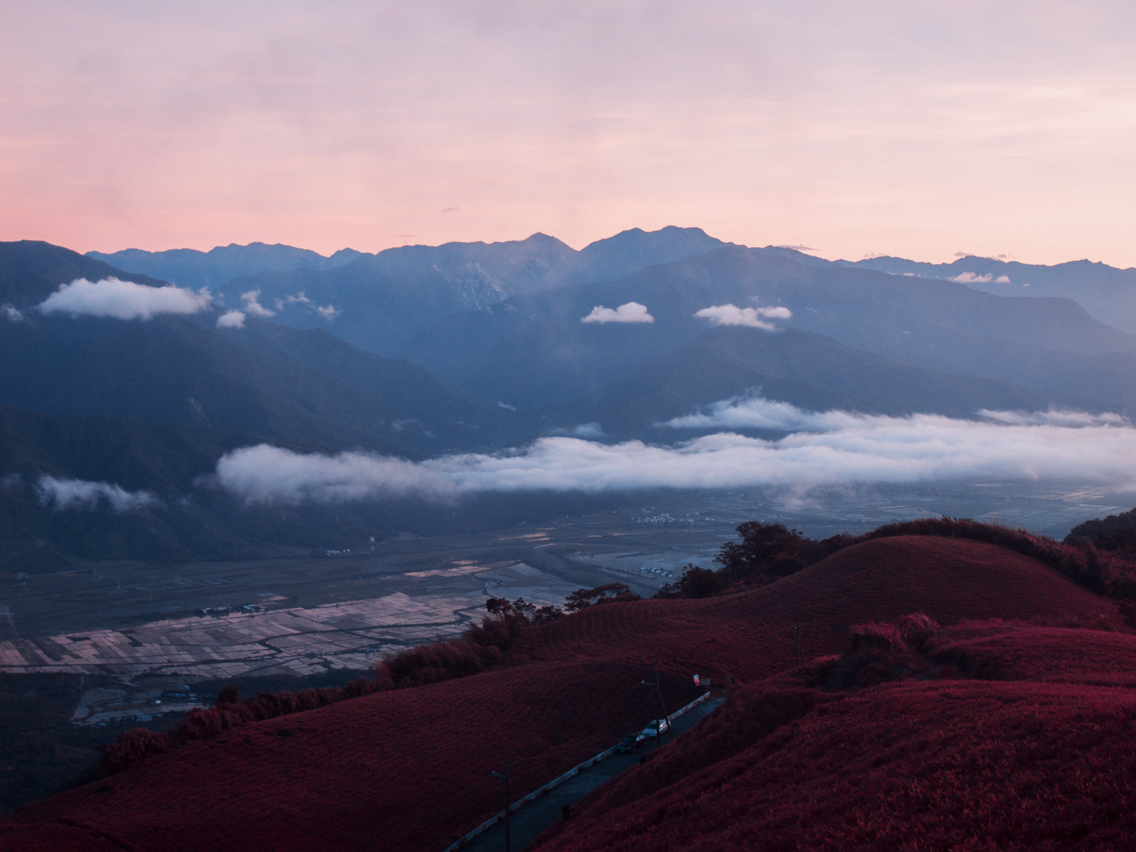 攝影的純粹追求 1