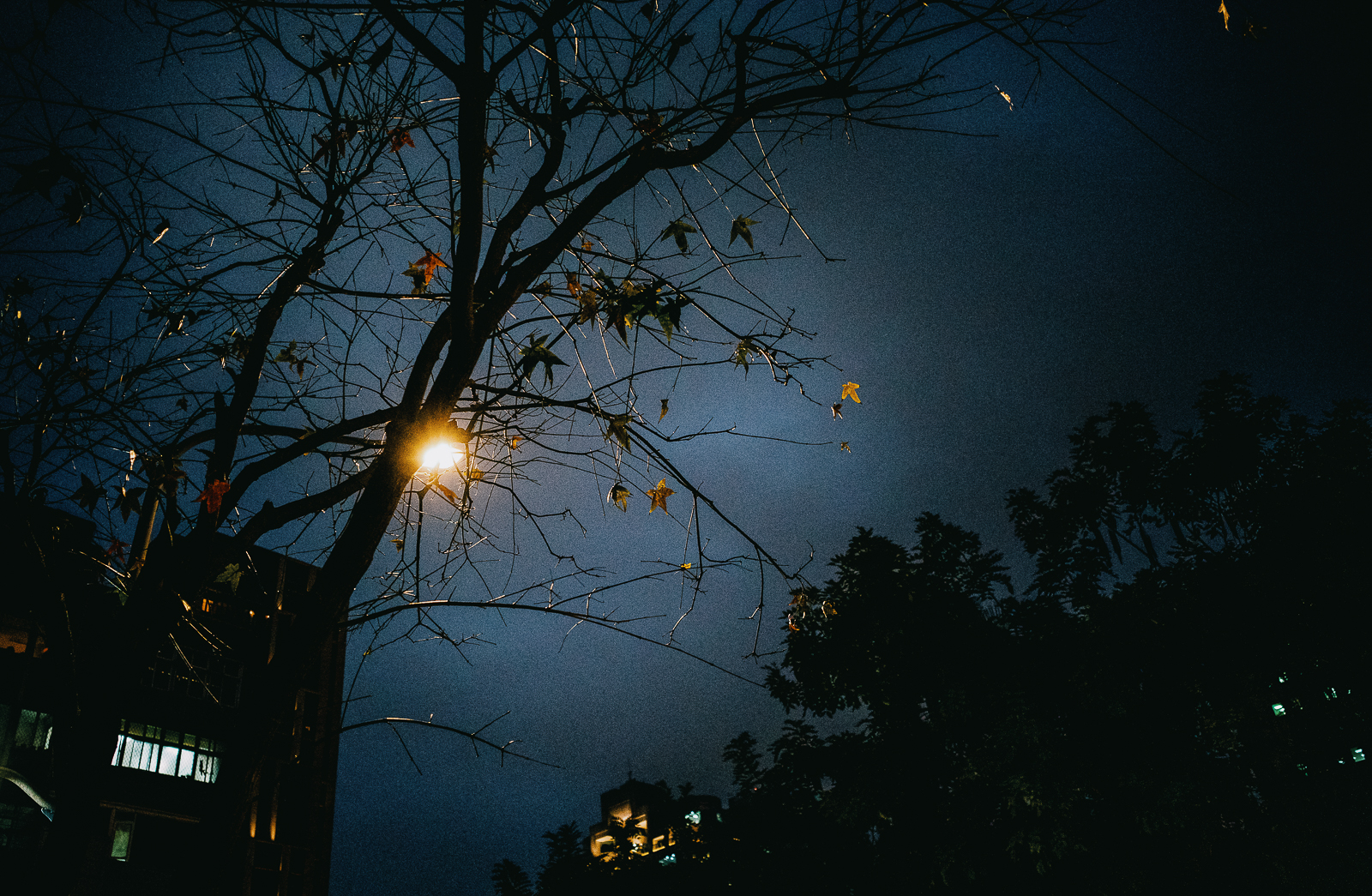 RICOH GR IIIx Urban Edition 與 GR III 實機對比 3