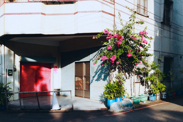 Ricoh GR III 與 GR3x 曝光調整與直方圖設定教學