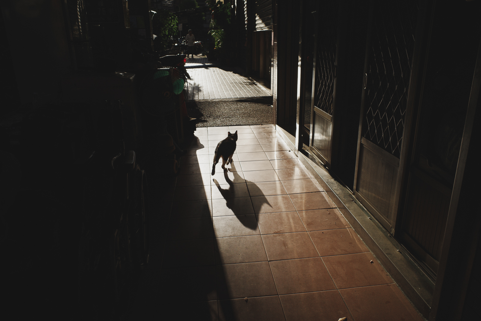 視覺重量相等的不對稱平衡幾何