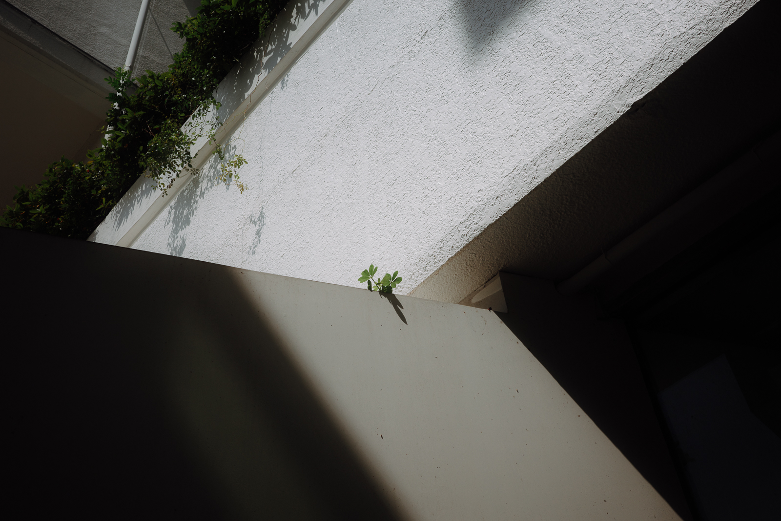 日常環境中隱藏的立體幾何與光影細節