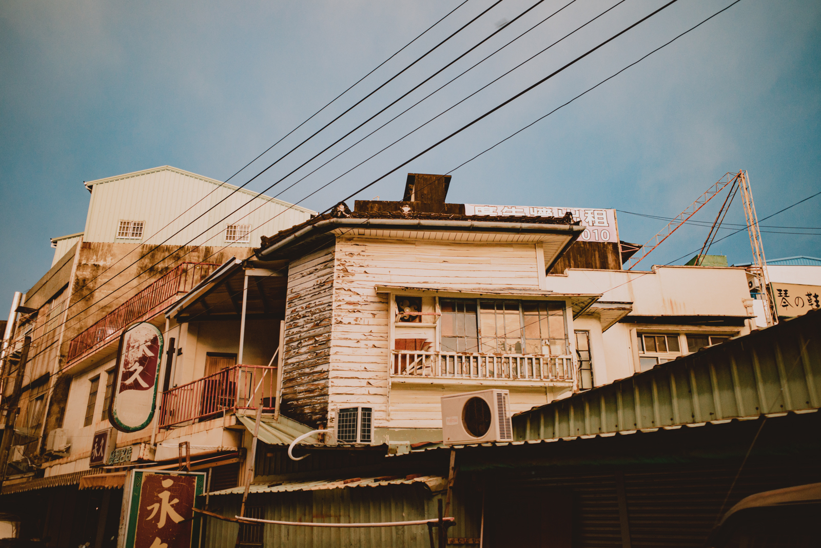 嘉義街頭光影：悠閒的貓咪與日常