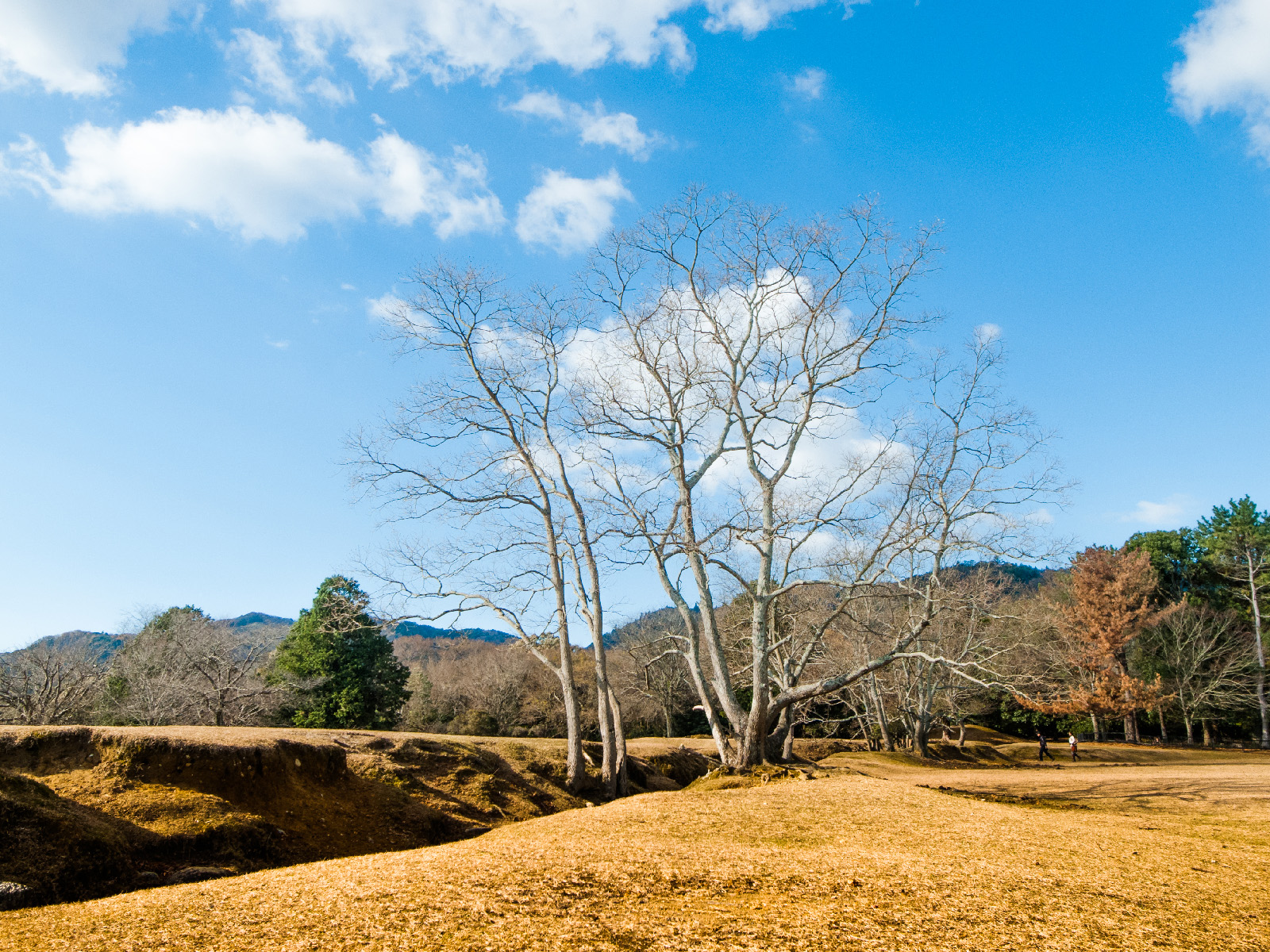 最後的告別：將經典的 GRD 收入防潮箱封存