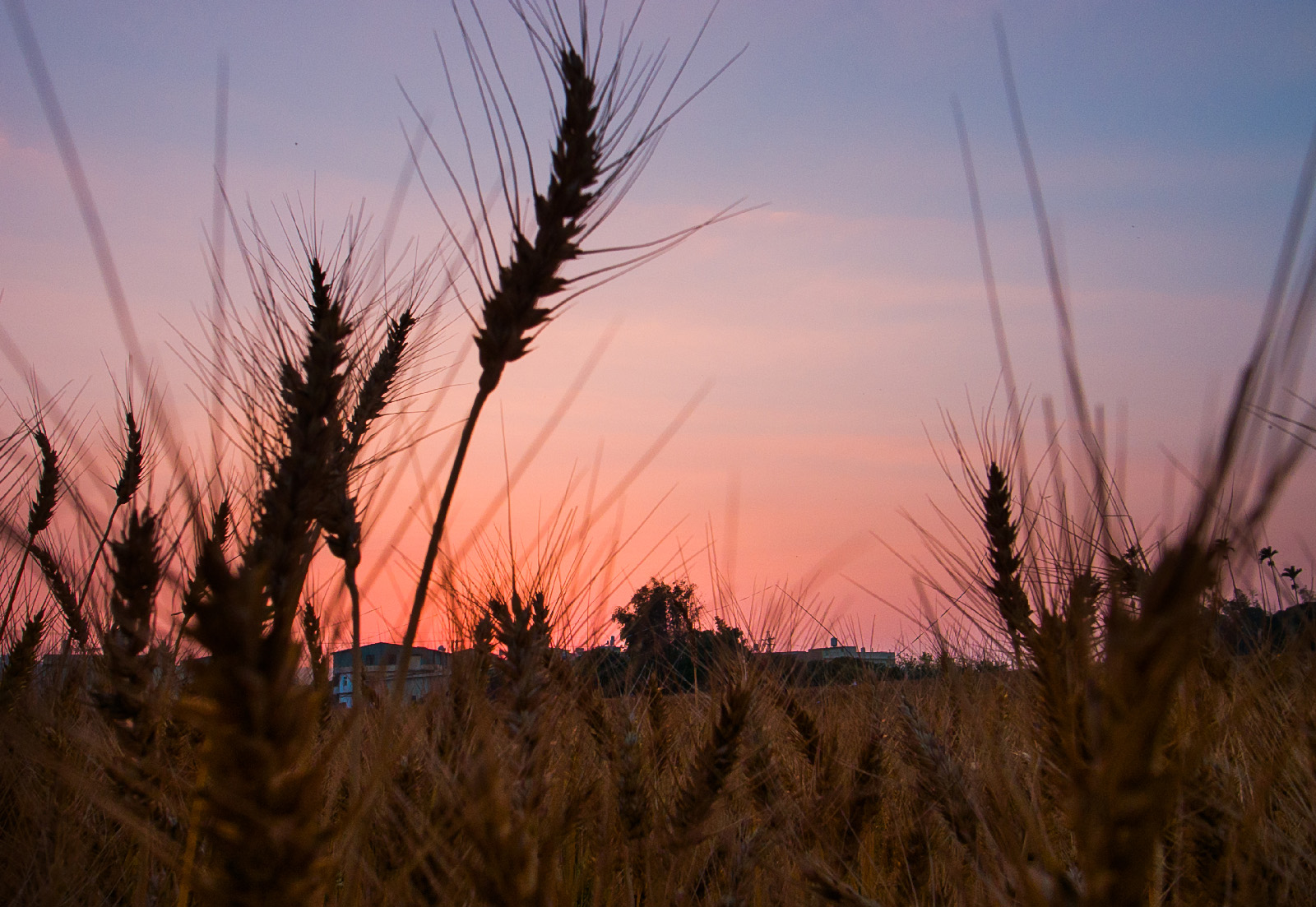 GRD 街拍視角：不追求絕對銳利，只保留影像味道