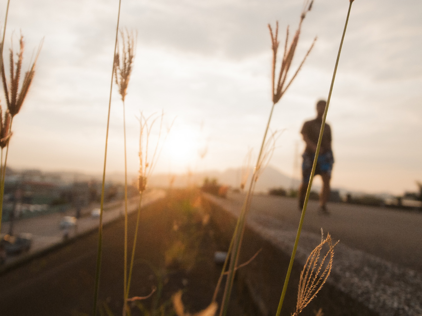 GRD 傍晚芒草實拍：一個人拍照的純粹快樂