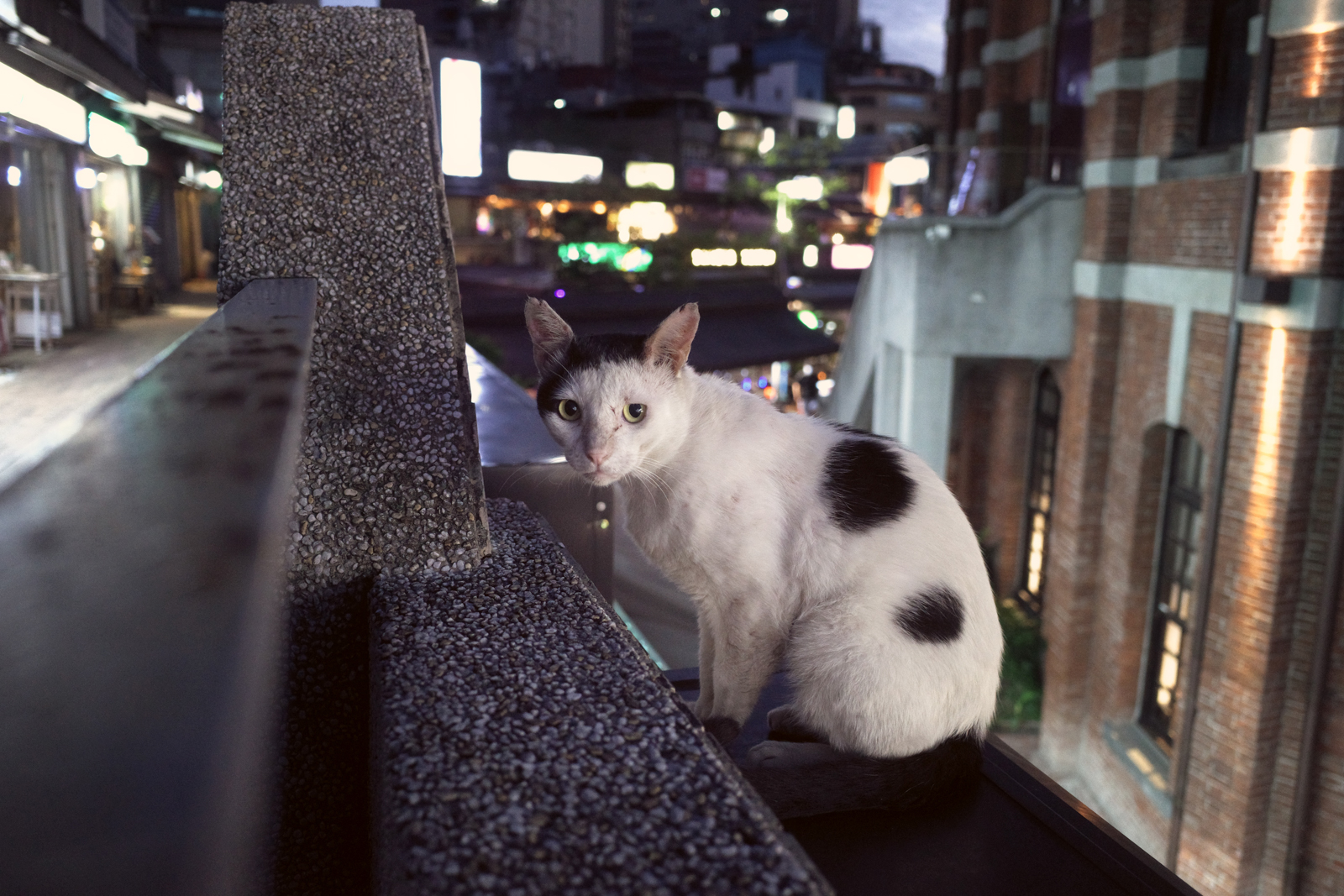 Classic Neg 經典負片 街拍實拍作品 9