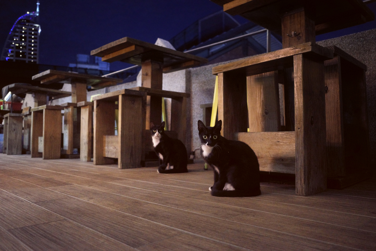 Classic Neg 經典負片 街拍實拍作品 7