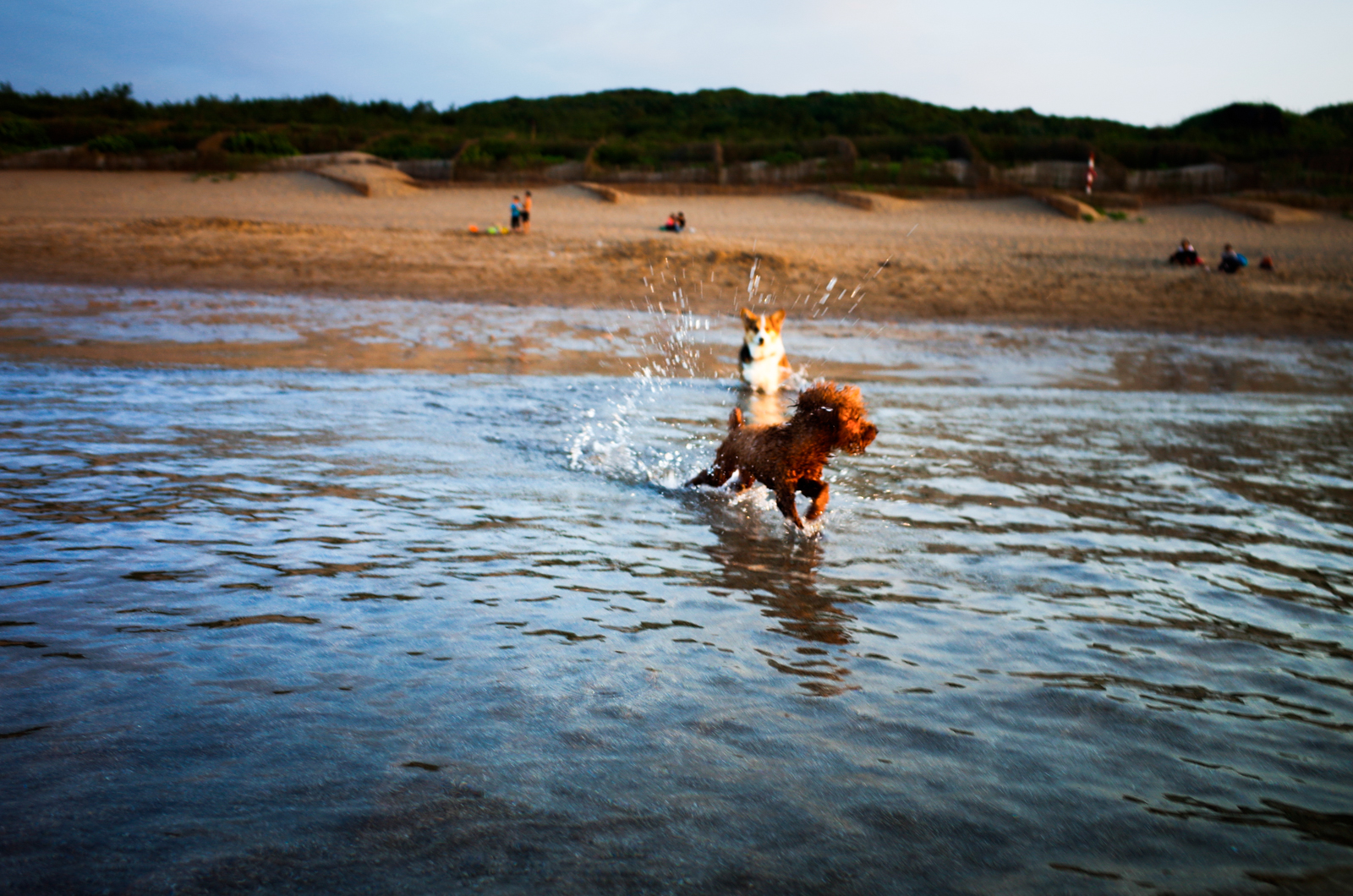 Ricoh GR SNAP 快拍模式捕捉海邊動態