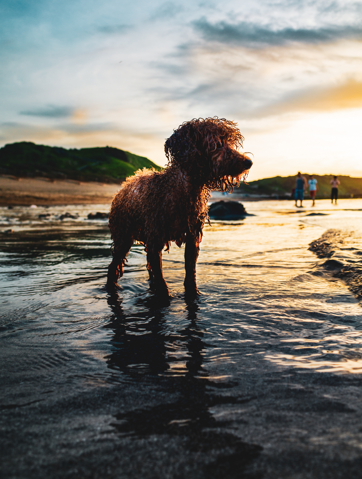 高反差逆光剪影構圖