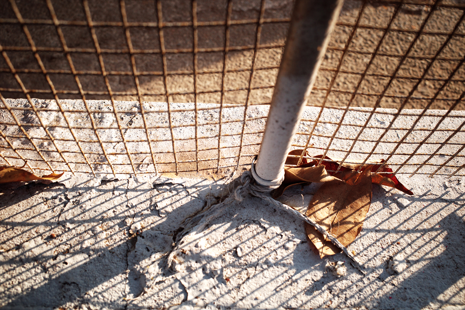 RICOH GR III 實拍：套用自訂色彩後的豐富光影對比