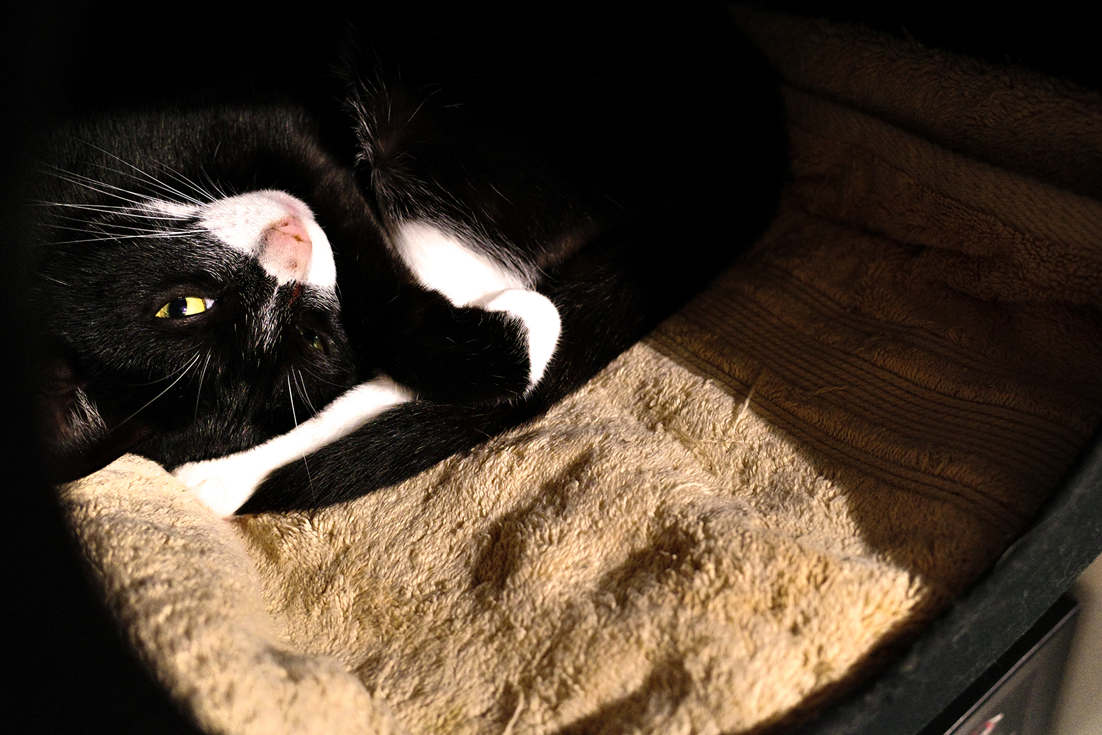 RICOH GR III 夜拍高感光度表現