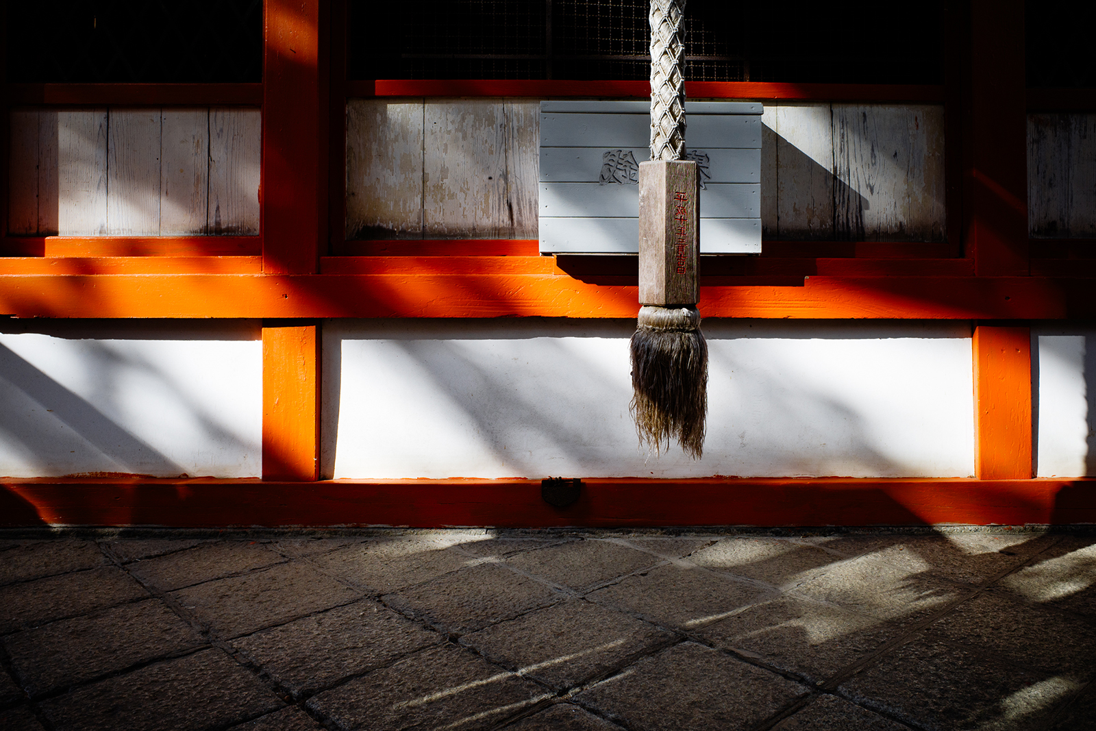 RICOH GR III 實拍：自然光下的細膩色彩表現