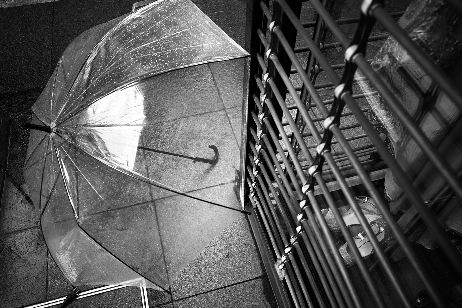 RICOH GR III SNAP 瞬間快拍