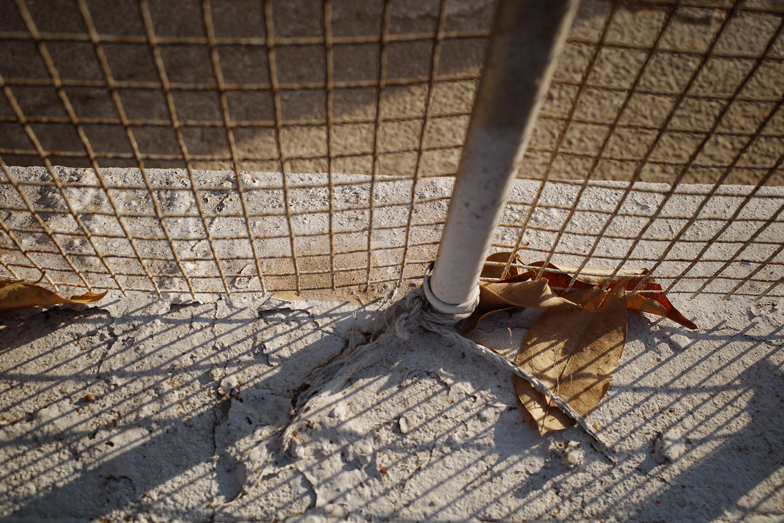 RICOH GR III 實拍：未套用自訂色彩前的標準發色