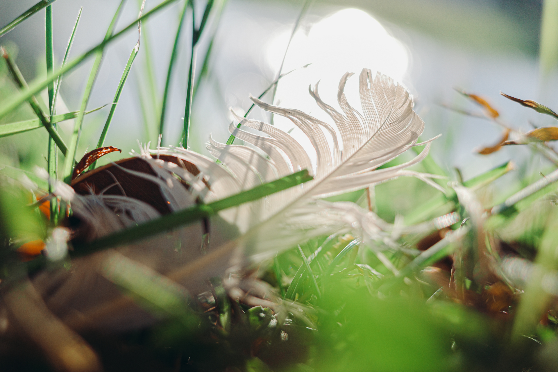 GR IIIx 拍攝水池的波紋與散景