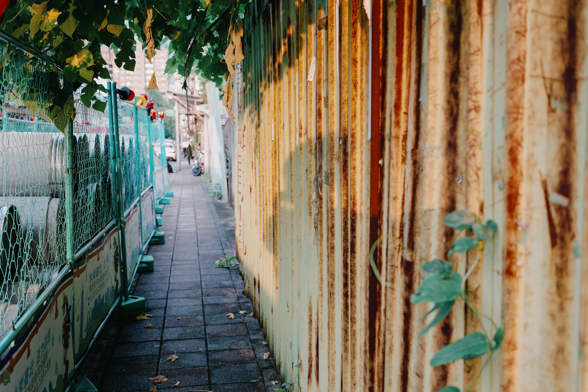 GR IIIx 街拍小確幸 1