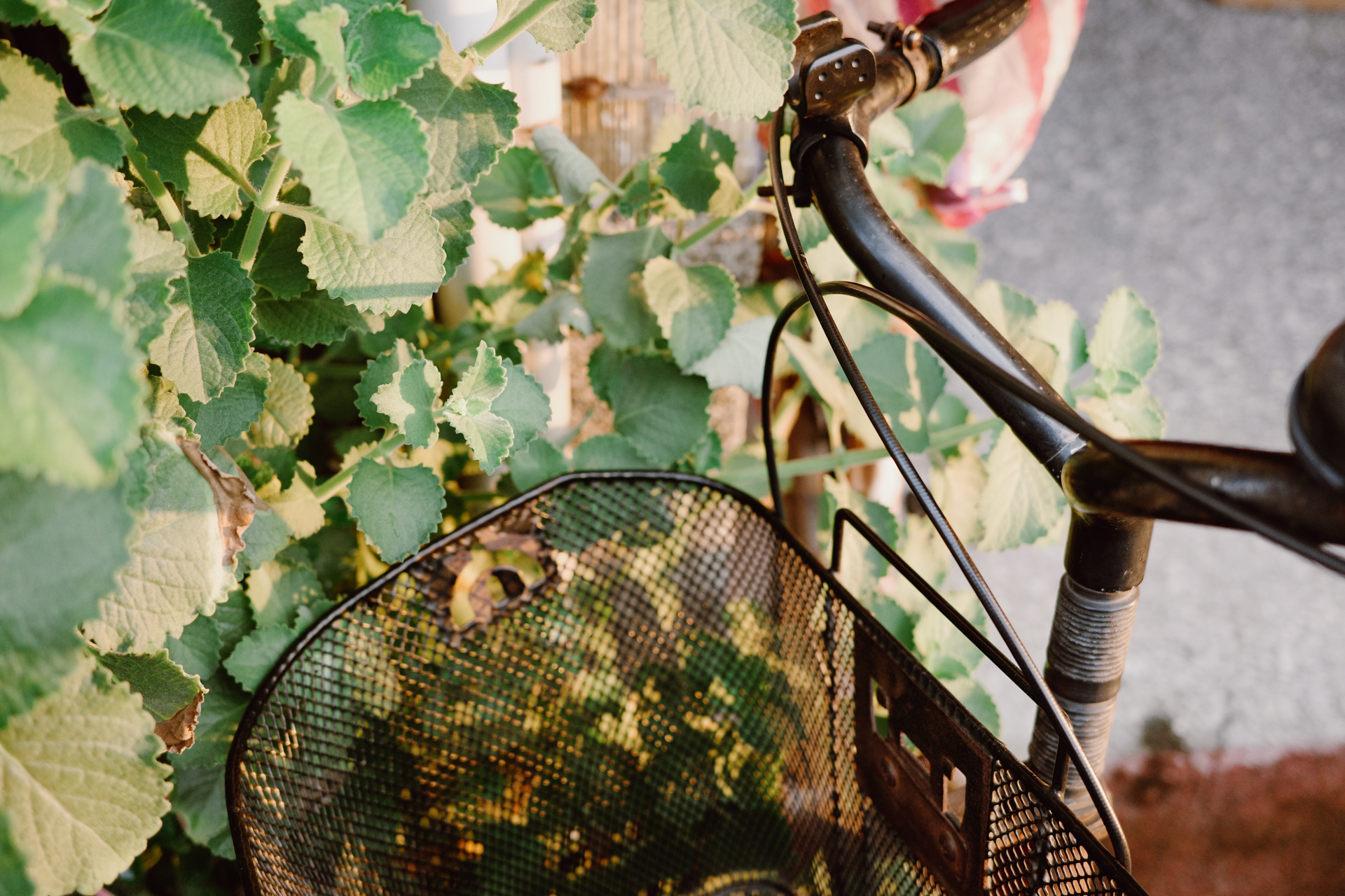 GR IIIx 街拍小確幸 2