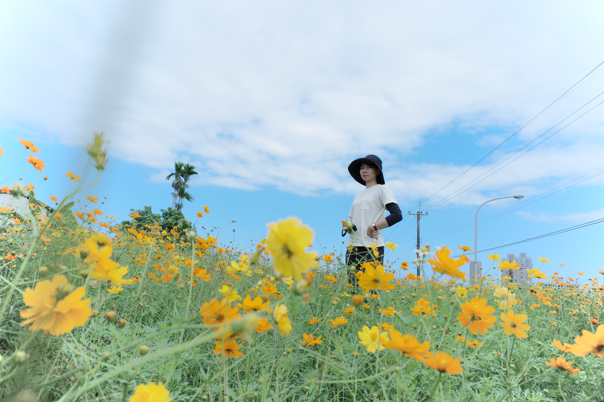 GR3 日系色調 風景與靜物測試 4