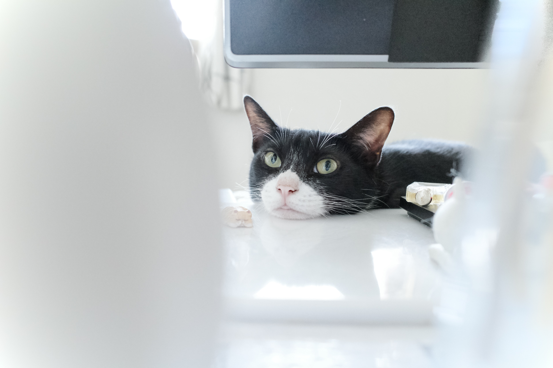 GR3 日系色調 街頭光影範例 2